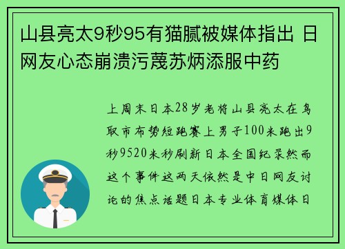 山县亮太9秒95有猫腻被媒体指出 日网友心态崩溃污蔑苏炳添服中药